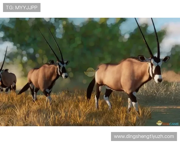 好望角线上娱乐提供安全稳定的游戏环境,保障玩家的每一次娱乐体验 好望角线上娱乐提供安全稳定的游戏环境,保障玩家的每一次娱乐体验